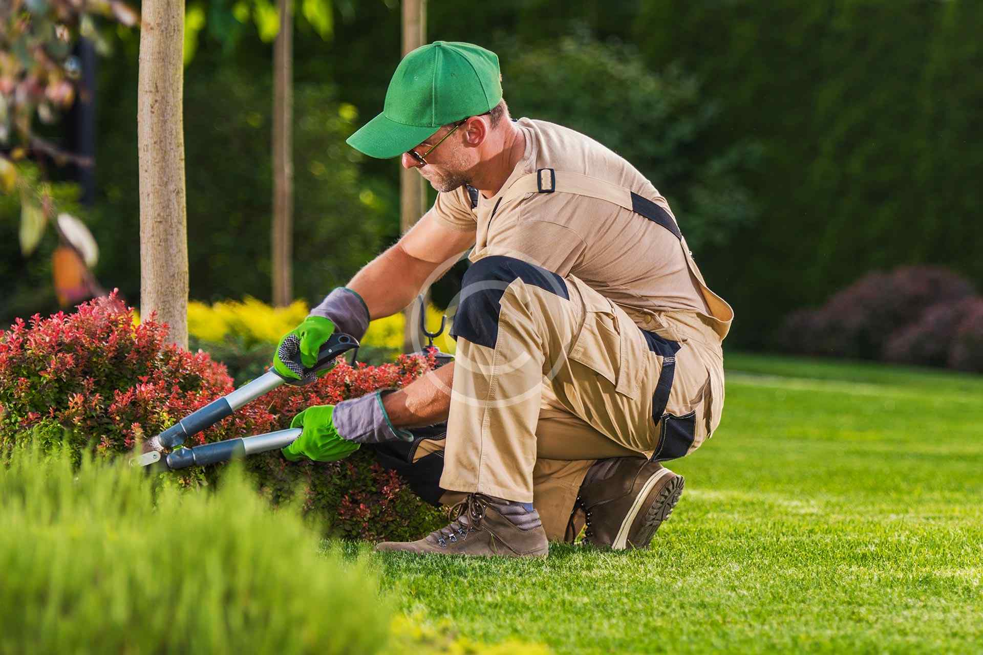 Lawn maintenance